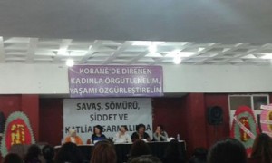 DKH Dersm panel